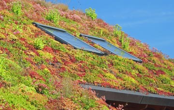 Wavendon Gate living roof systems