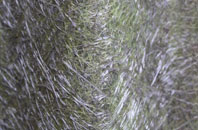 Wavendon Gate fibreglass roof work